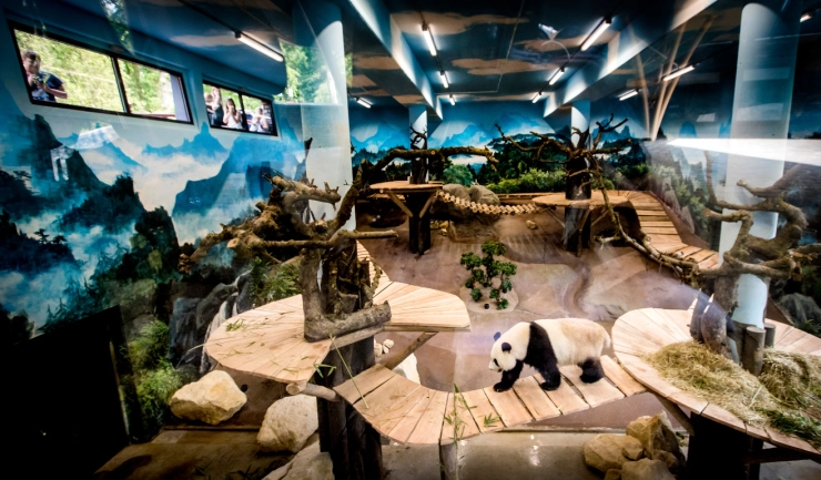 NU.nl gaat dagelijks positief nieuws brengen in tijden van corona