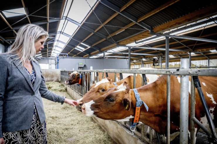 D66 stelt Kamervragen over hoger beroep minister Wiersma in zaak milieugegevens: ‘Bent u bereid het in te trekken?’