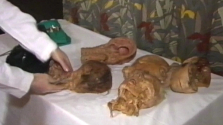 Hoofdenaffaire uit 1989 leidt tot nieuwe kopzorgen