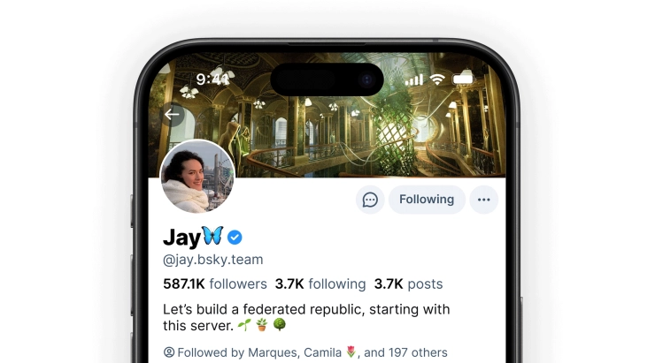 Bluesky introduceert extra verificatie voor organisaties en noemenswaardige accounts