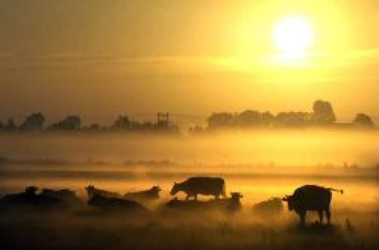 Foto bij persbureau gestolen