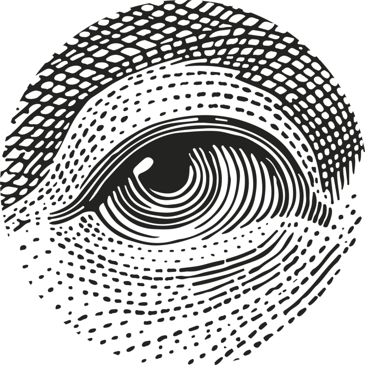  Follow The Money ontvangt Amerikaans SLAPP-dreigement