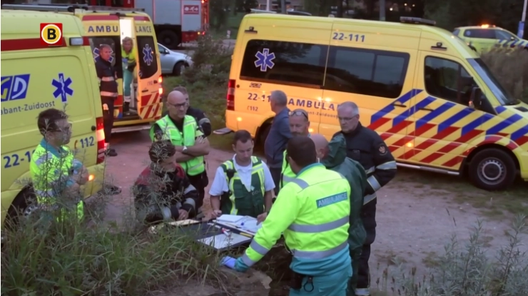 Zwerm wespen trekt meeste aandacht bij Omroep Brabant