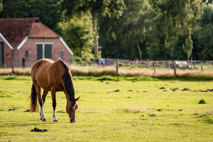 Rechter legde Undercover-producent Noordkaap uitzendverbod op na uitlokking