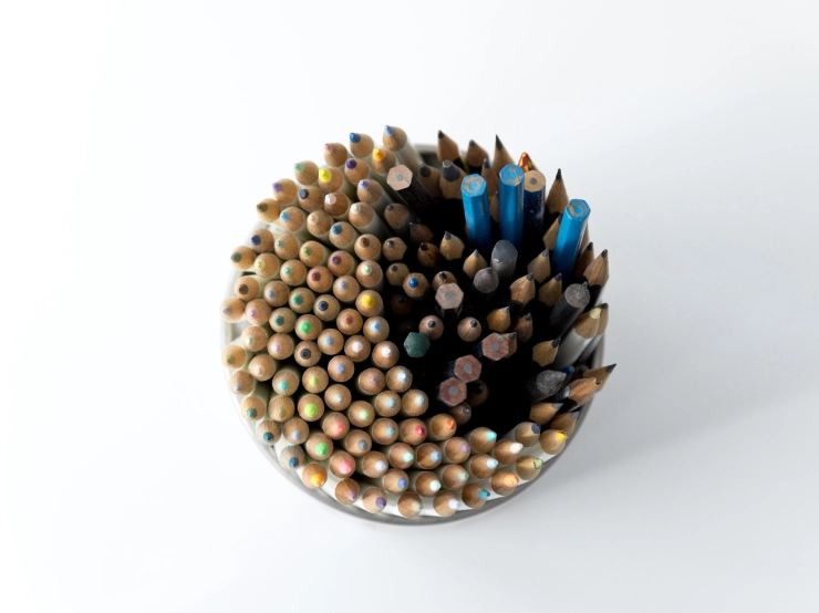 Tunesische cartoonist aangehouden om spotprent premier