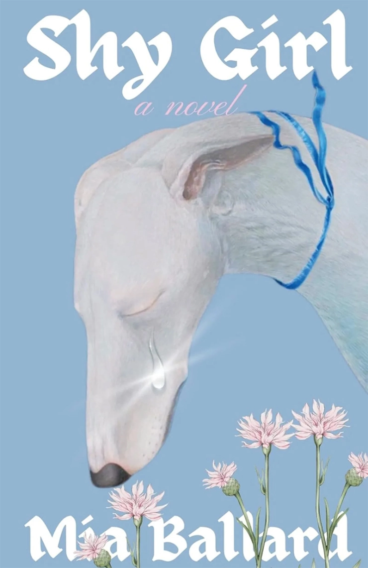 Amerikaanse editie roman teruggetrokken na verdenking AI-gebruik; literaire agenten bezorgd over trend