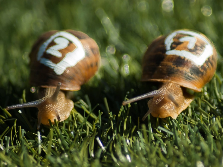 Tooltip: Nooit meer browser-traagheid door tabbladen-stress