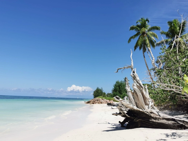 Villamedia’s Zomergids