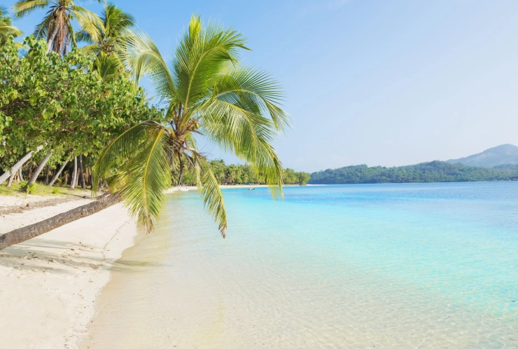 Villamedia’s Zomergids met factor Kuifje, Zomergasten, Olympische Spelen en nog veel meer