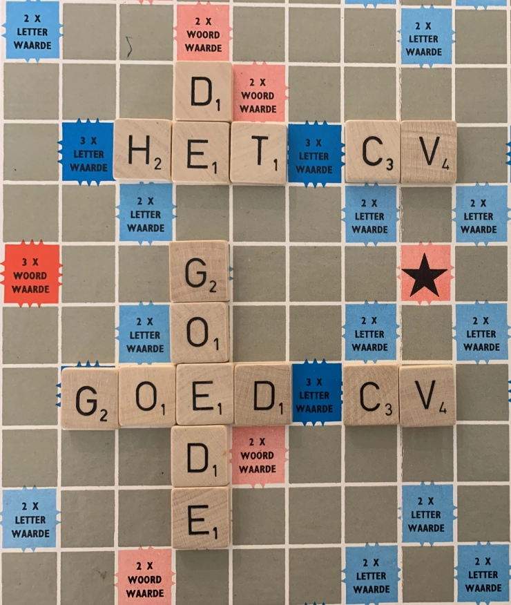 Taaltip: de/het cv, een goed/goede cv