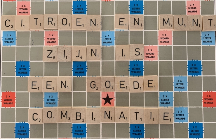 Taaltip: ‘Citroen en munt zijn / is een lekkere combinatie’