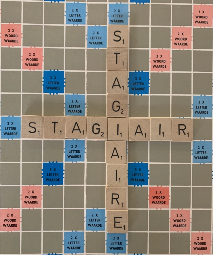 Taaltip: Stagiair / stagiaire