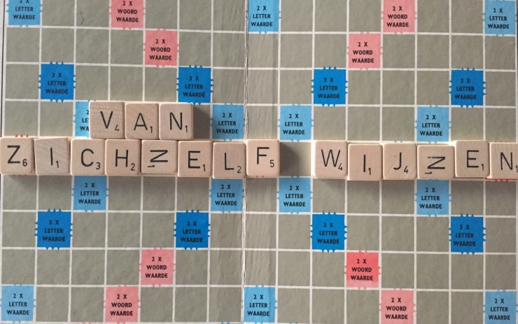 Taaltip: zichzelf wijzen en zich vanzelf wijzen