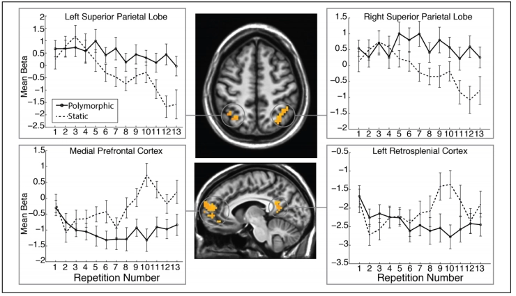 Multimedia: Verveling is onze natuur