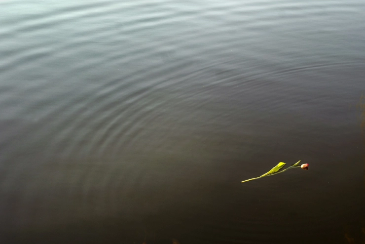 Opinie: ‘Eenzijdige berichtgeving brengt een goede psychiatrische euthanasiepraktijk verder weg’