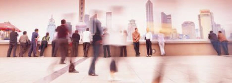 Donec vestibulum velit et libero