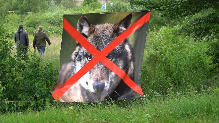 Opinie: De media verliezen terrein als hoeders van de democratie - en dat is gevaarlijk